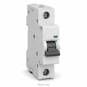 MCB Type C 16A 6kA Single Pole (motor circuits)